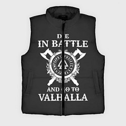 Мужской жилет Vikings