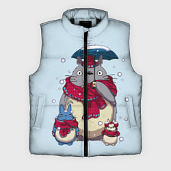 Мужской жилет Мой сосед Тоторо