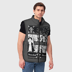 Мужской жилет One Piece, цвет: 3D-черный — фото 2