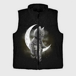 Мужской жилет Кот на луне, цвет: 3D-черный