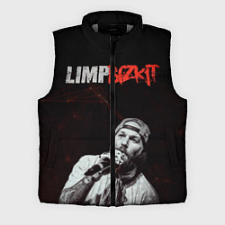 Мужской жилет Limp Bizkit