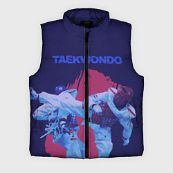 Мужской жилет Taekwondo, цвет: 3D-черный