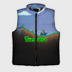 Мужской жилет Terraria game, цвет: 3D-красный