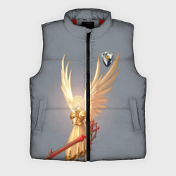Мужской жилет Heroes of Might and Magic, цвет: 3D-красный