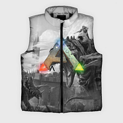 Мужской жилет Ark Survival Evolved