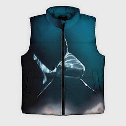 Мужской жилет Акула, цвет: 3D-черный