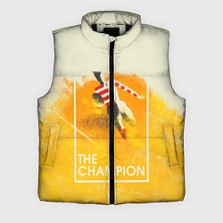 Мужской жилет Регби The Champion, цвет: 3D-черный