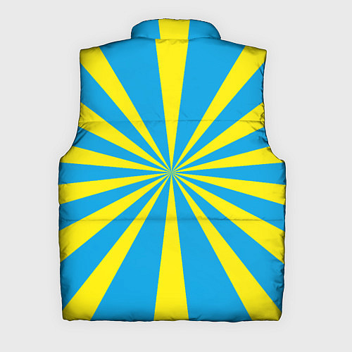 Мужской жилет ВВС России / 3D-Светло-серый – фото 2