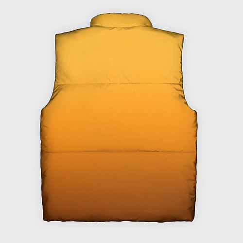 Мужской жилет Maya / 3D-Черный – фото 2