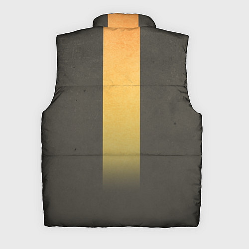 Мужской жилет Claptrap / 3D-Светло-серый – фото 2