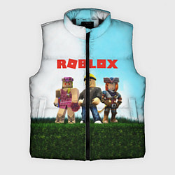 Мужской жилет ROBLOX, цвет: 3D-черный