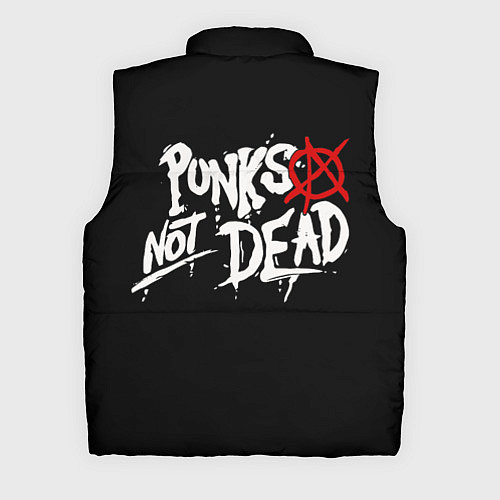 Мужской жилет The Exploited / 3D-Черный – фото 2