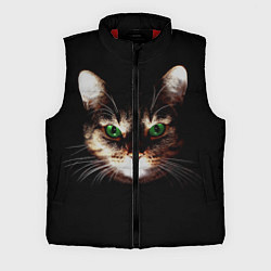 Мужской жилет Зеленоглазый кот
