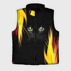 Мужской жилет Грозовой кошак