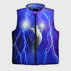 Мужской жилет Грозовой кошак