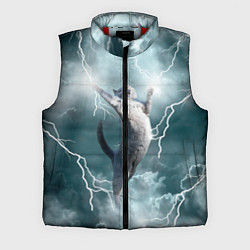 Мужской жилет Грозовой кошак, цвет: 3D-красный