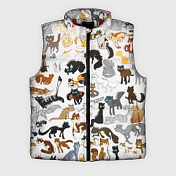 Мужской жилет Котоколлаж 03