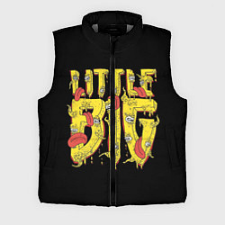 Мужской жилет Little Big