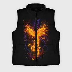 Мужской жилет Phoenix