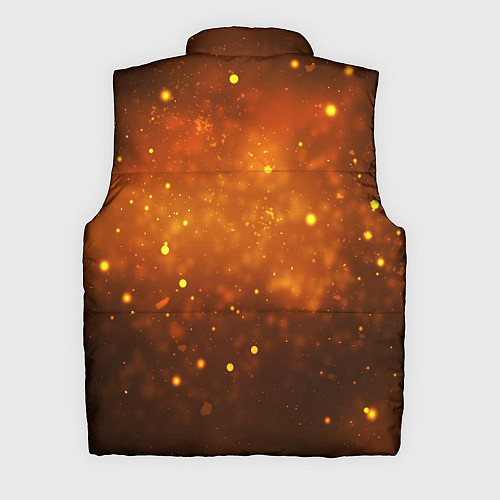 Мужской жилет UNDERTALE / 3D-Черный – фото 2