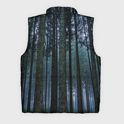 Мужской жилет THE FOREST / 3D-Черный – фото 2