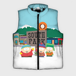 Мужской жилет ЮЖНЫЙ ПАРК, цвет: 3D-черный