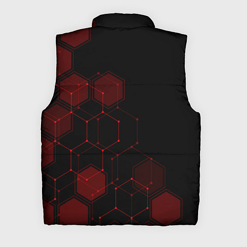 Мужской жилет UMBRELLA CORP / 3D-Красный – фото 2