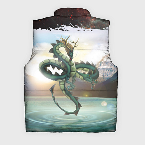 Мужской жилет Дракон / 3D-Черный – фото 2