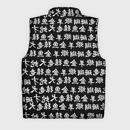 Мужской жилет ИЕРОГЛИФЫ / 3D-Черный – фото 2