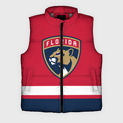 Мужской жилет Флорида Пантерз, цвет: 3D-светло-серый