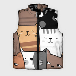 Мужской жилет Котейки, цвет: 3D-светло-серый