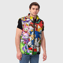 Мужской жилет Sonic ПЕРСОНАЖИ, цвет: 3D-черный — фото 2