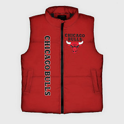 Мужской жилет CHICAGO BULLS, цвет: 3D-черный