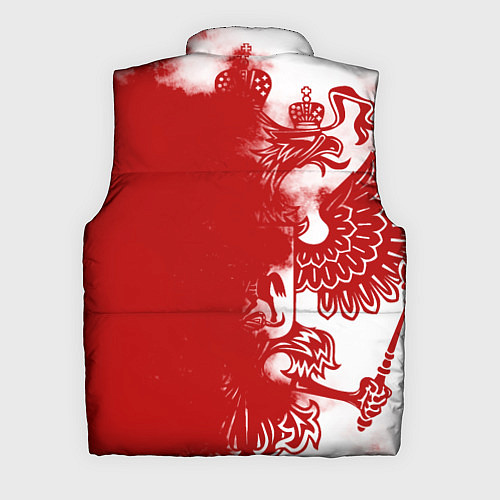 Мужской жилет Russia / 3D-Черный – фото 2