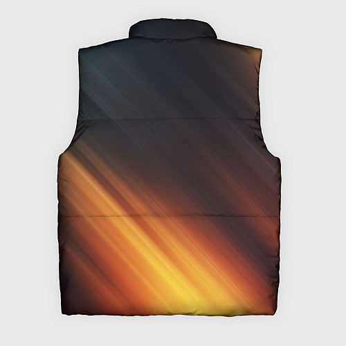 Мужской жилет HONDA / 3D-Черный – фото 2