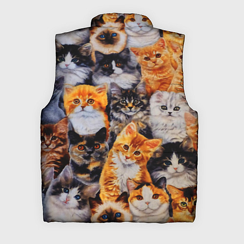 Мужской жилет КОТЯТКИ / 3D-Черный – фото 2