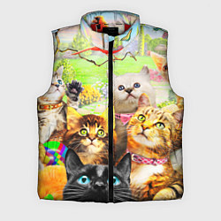 Мужской жилет КОТЫ