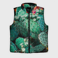 Мужской жилет Кактусы с цветами реализм