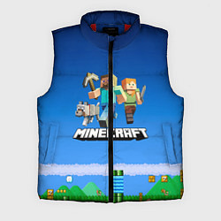 Мужской жилет Minecraft, цвет: 3D-красный