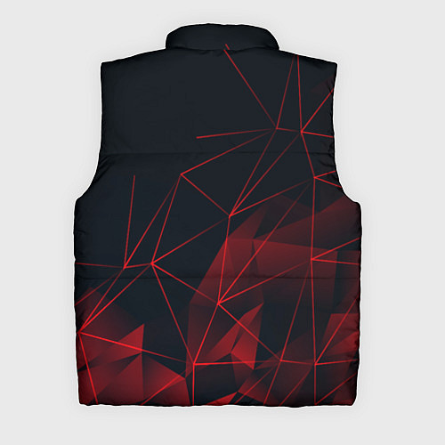 Мужской жилет TOYOTA / 3D-Черный – фото 2