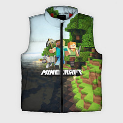 Мужской жилет Minecraft, цвет: 3D-красный