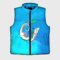 Мужской жилет Унесенные призраками Хаку