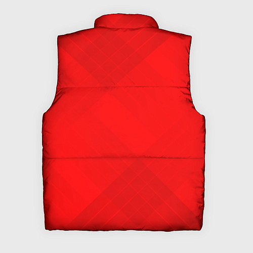 Мужской жилет ARSENAL / 3D-Черный – фото 2