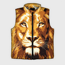 Мужской жилет Взгляд льва