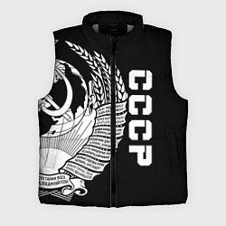 Мужской жилет СССР, цвет: 3D-светло-серый