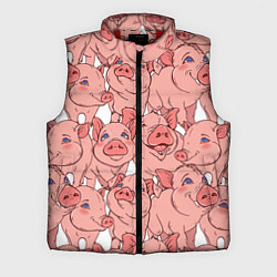 Мужской жилет Свиньи
