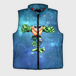 Мужской жилет Rash