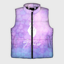 Мужской жилет Stray Kids, цвет: 3D-черный