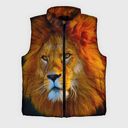 Мужской жилет Лев 3D