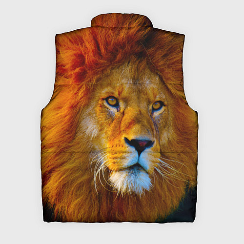 Мужской жилет Лев 3D / 3D-Черный – фото 2